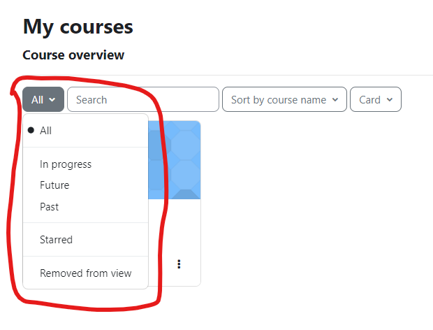 Screenshot showing the My Courses Filter